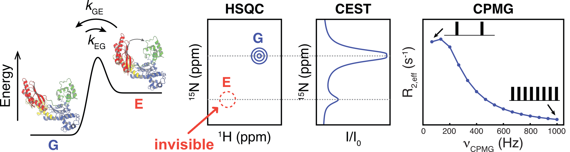 exchange_cest_cpmg_figure